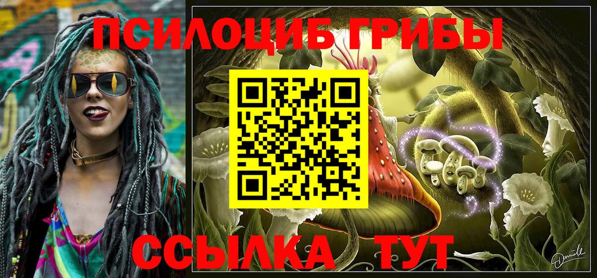 Всеволожск  Псилоцибиновые грибы Psilocybe  купить закладку  Вход с VPN 