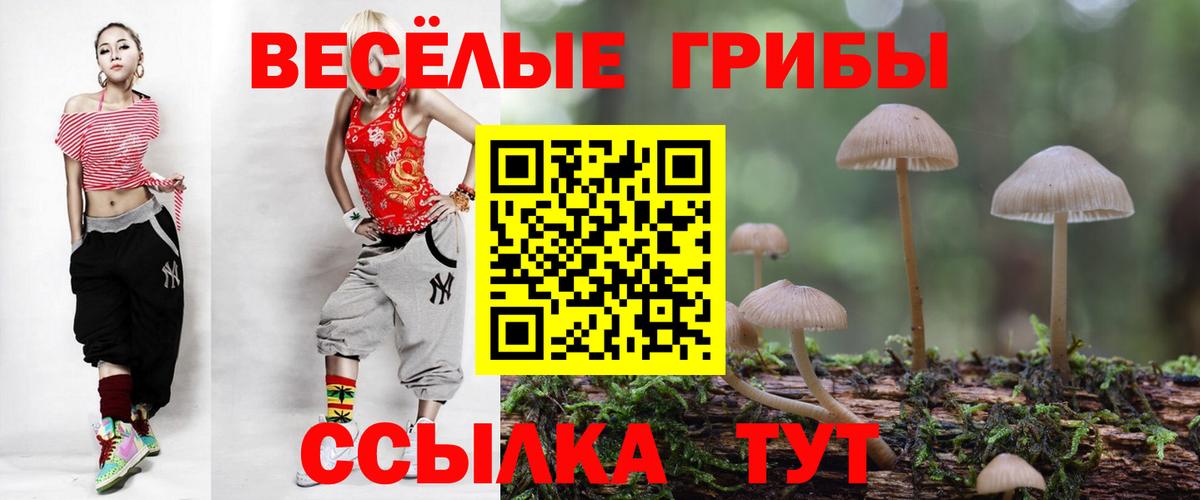 Галлюциногенные грибы мицелий Всеволожск